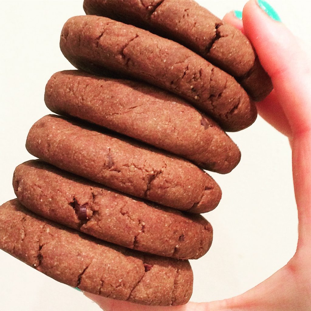 chocolate peanut butter protein cookies